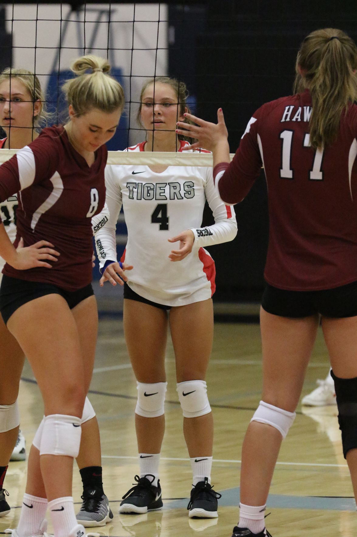 Teske_SHHawks_7309.JPG
